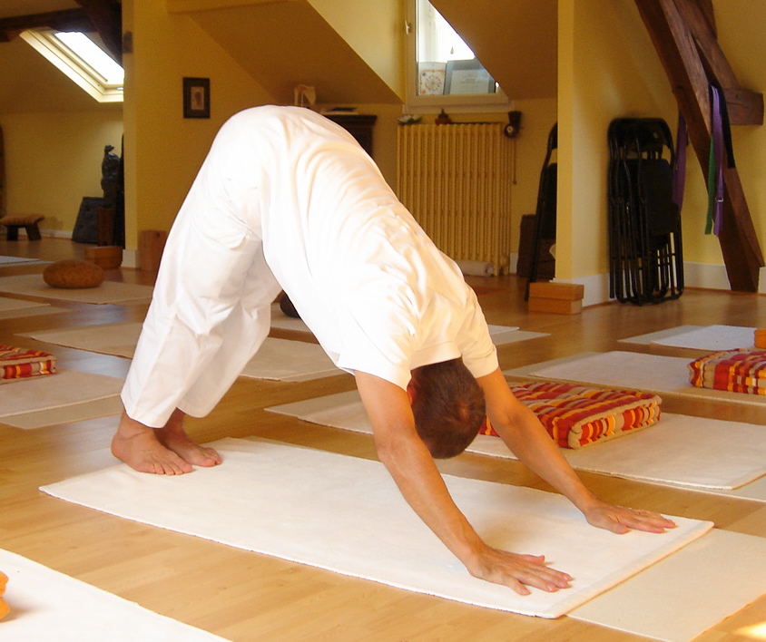 Shvanasana Yoga Pose to Open Sixth Chakra